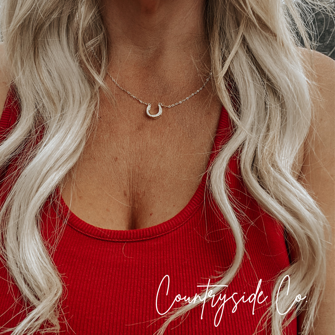 Horseshoe Necklace in Gold or Silver