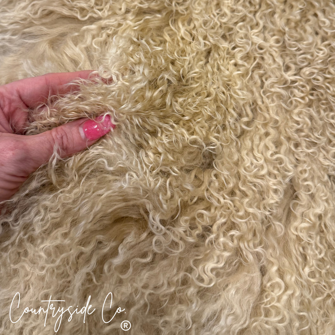 Mongolian Sheep Rug