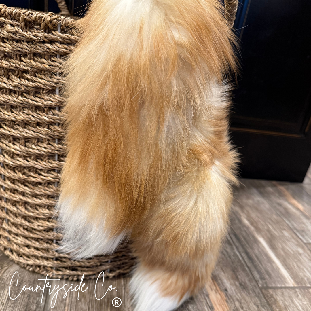 Genuine Fox Tails